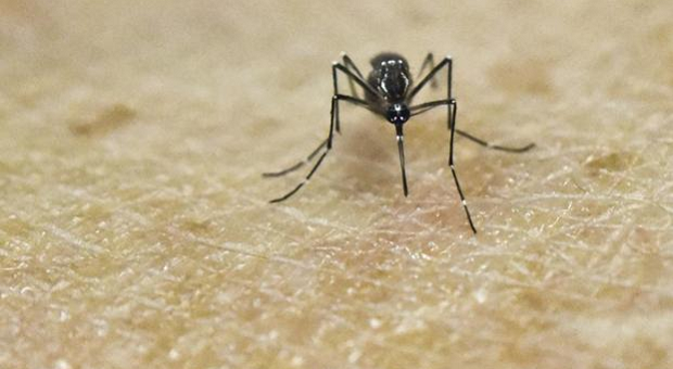 Bangladesh Confirms First Case Of Zika Virus