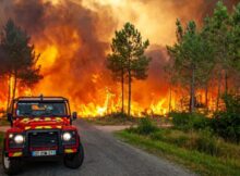 Wildfires in southern Europe
